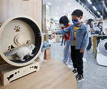 纵宠天下书包网手机版宠魅小说下载txt电子书下载